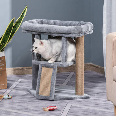 Milo & misty cat scratching outlet post